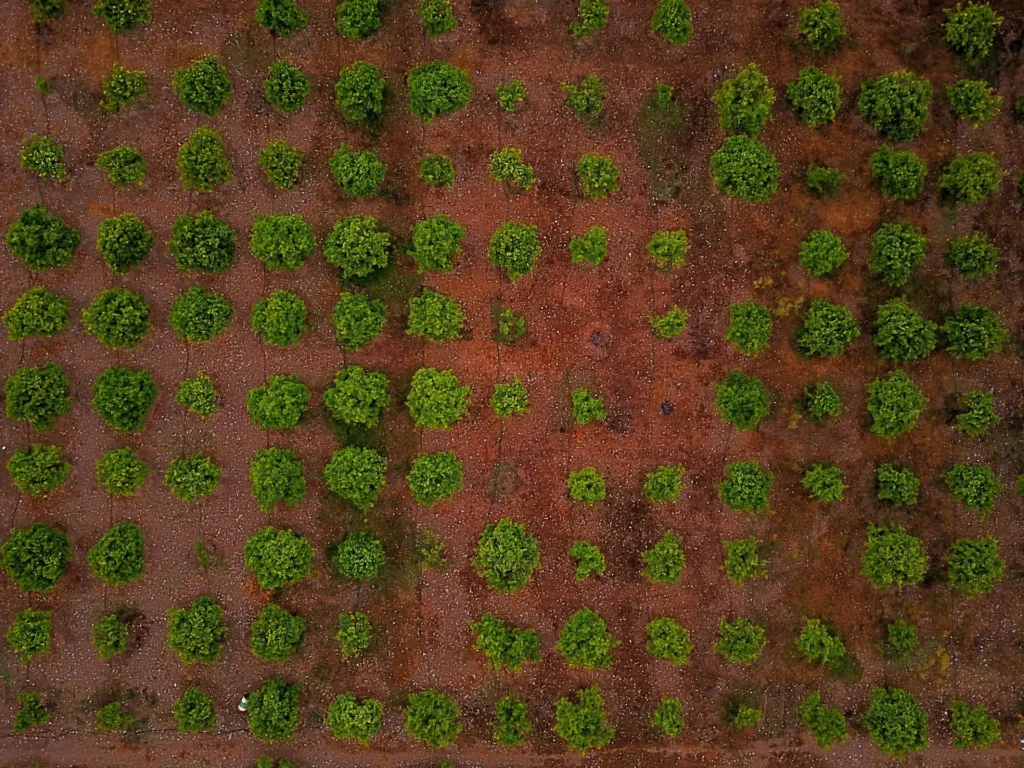 drohnen in der landwirtschaft zustandsanalyse